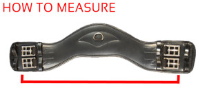 Measurement Diagram Dressage Large