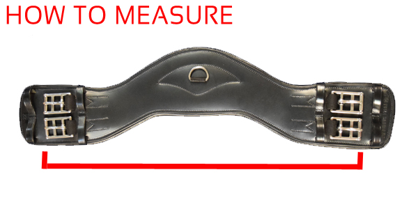 Measurement Diagram Dressage