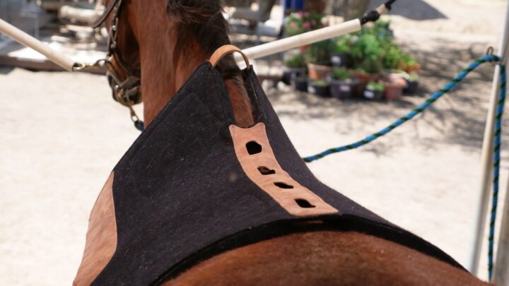 PERFECT Saddle Pad™ - Western