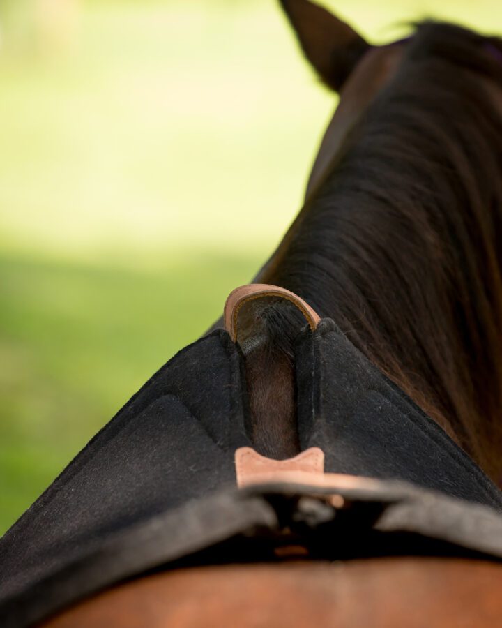 PERFECT Saddle Pad™ - Western