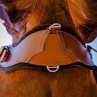 western-stretchtec-web-photos-brown-bottom-on-horse copy